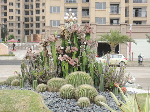 花園