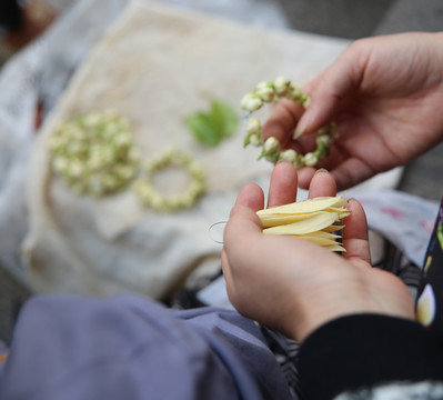 花 拿花的手