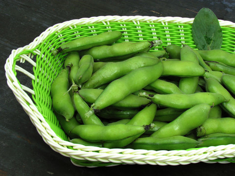 新鮮蠶豆
