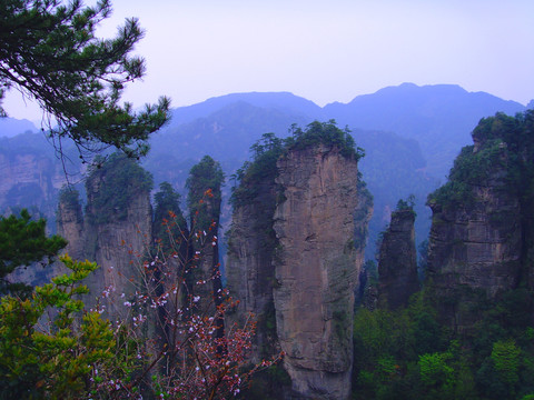 張家界的山