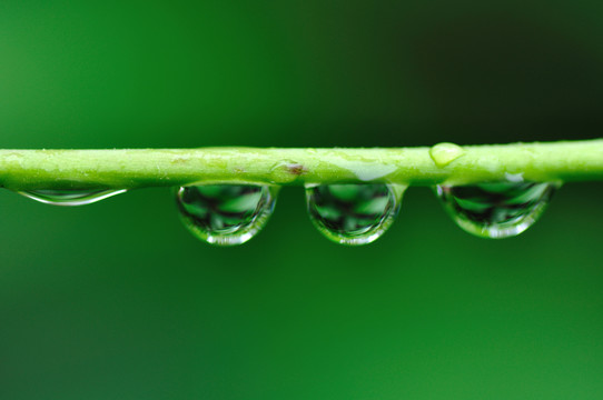 水珠