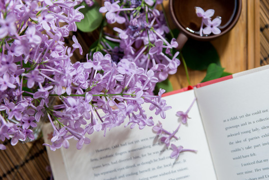 書本 丁香花