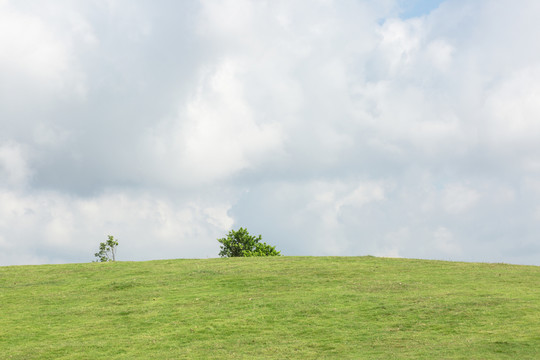 草地和天空