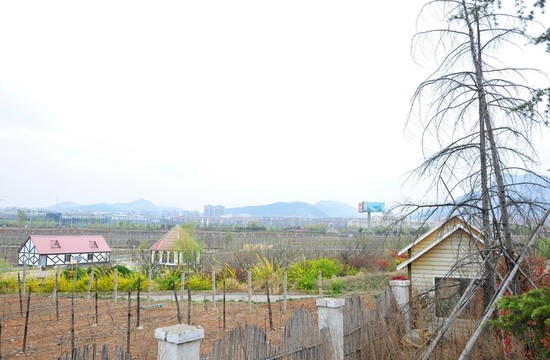 葡萄莊園