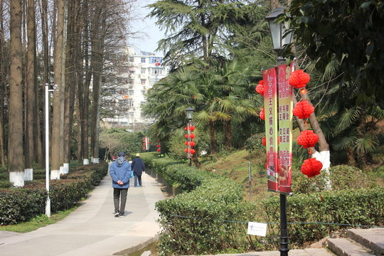 南京古林公園風(fēng)光