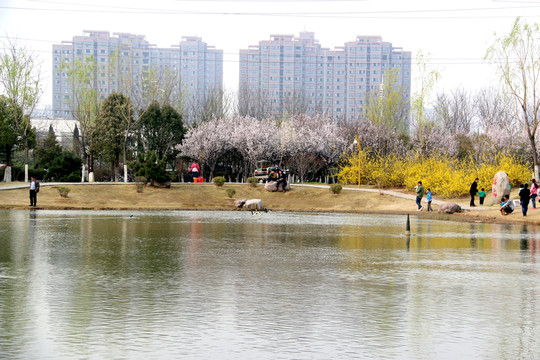 公園
