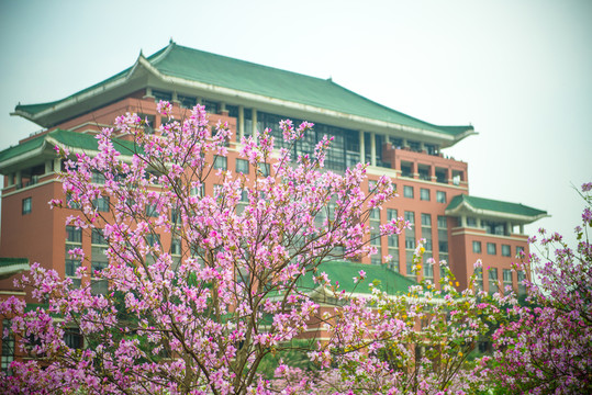 華農(nóng)行政大樓