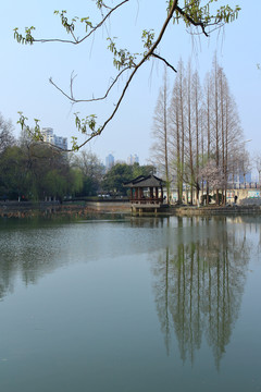 合肥包河公園