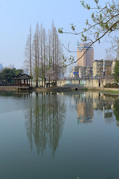 合肥包河公園