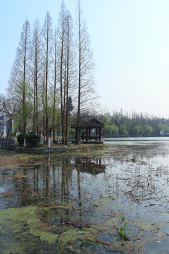 合肥包河公園