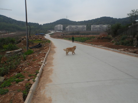 長長的公路