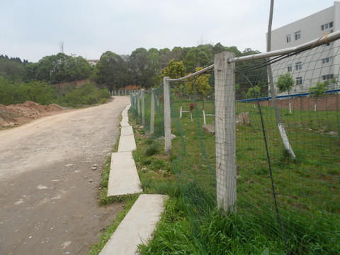 石板路