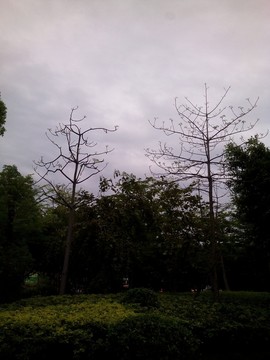 公園綠化