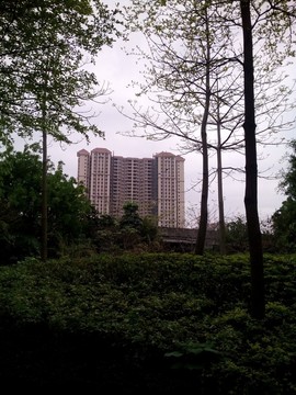 綠化與建筑