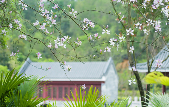 惠州小隱公園