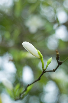 惠州小隱公園