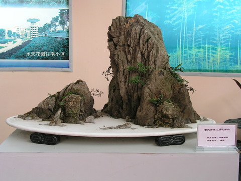 盆景造型