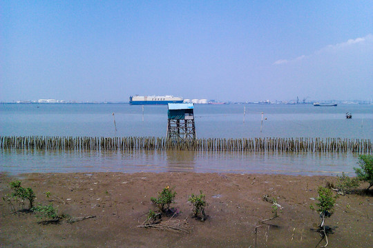 海岸灘涂