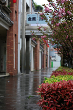 雨后建筑倒影