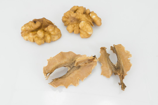 核桃仁 分心木