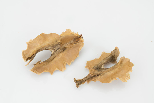 分心木 核桃藥材