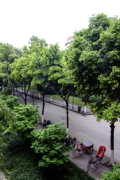 校園小路