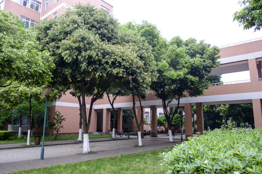 校園