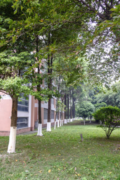 校園