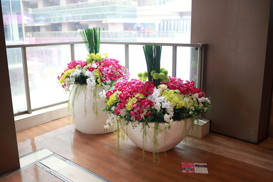 花盆