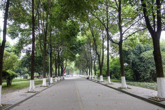 校園