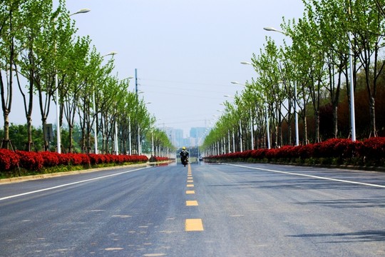 道路景觀