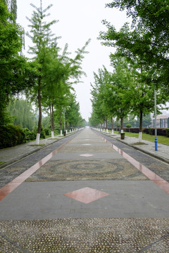 林蔭道