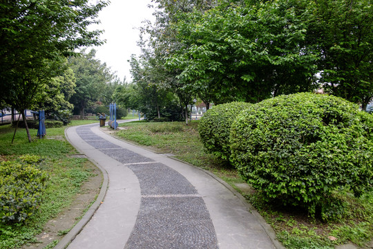 校園小路