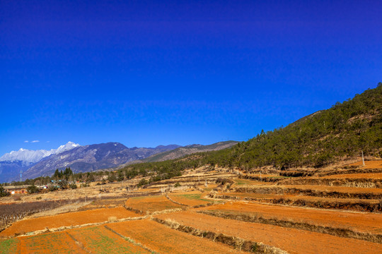 麗江沿途美景