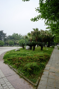 校園