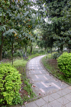 高校校園