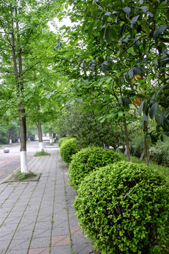 高校校園