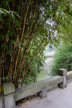 高校校園