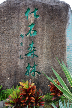 化石森林