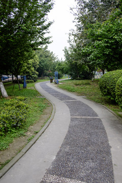 校園里的小路