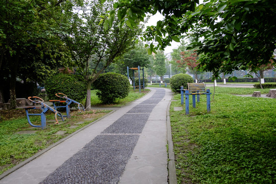校園里的小路