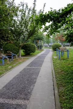 校園里的小路