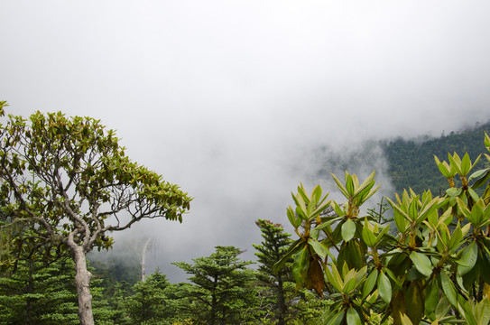 四川螺髻山