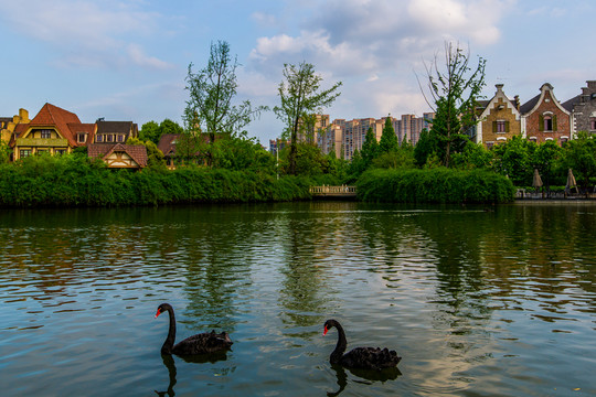南湖公園