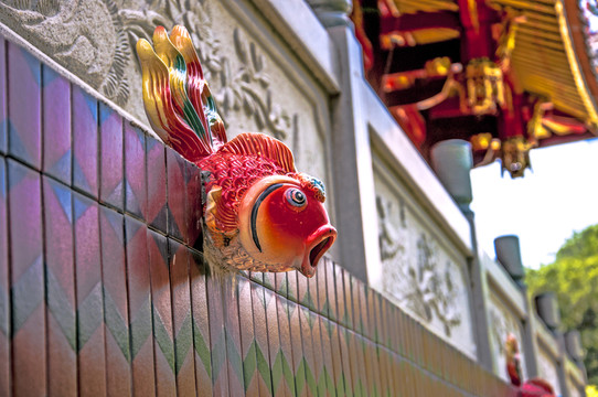 金魚