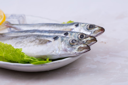 巴浪魚