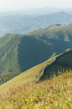 山田