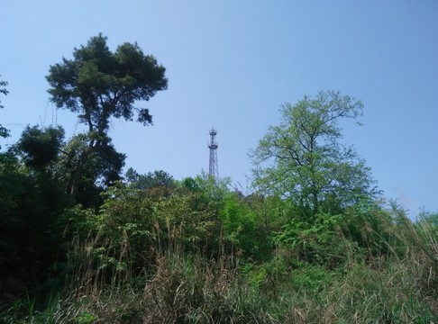 風(fēng)景