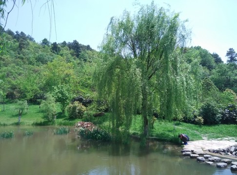 風(fēng)景
