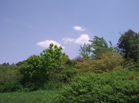 風景